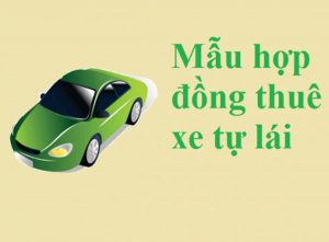 Hợp đồng thuê xe ô tô