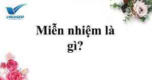 Miễn nhiệm là gì