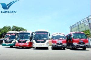 HTX TM DV Đô Thành có địa chỉ tại TP Thủ Đức, TPHCM