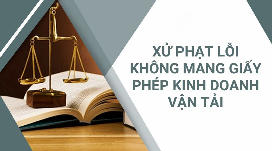 Lỗi không có giấy phép kinh doanh vận tải là lỗi nghiêm trọng